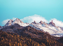 世界杯客户端安装说明-【集锦】维拉1-4切尔西，佩德罗戴帽，帕尔默破门